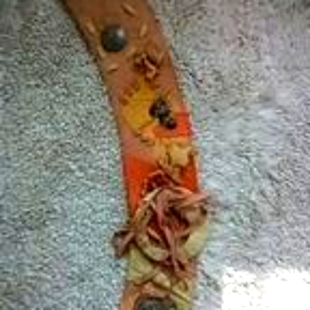 Heaven Belt
